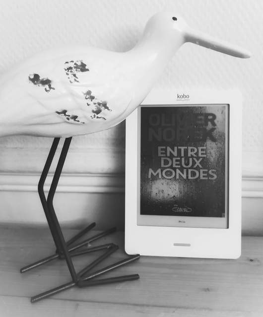 couverture du ebook entre deux mondes de Olivier Norek